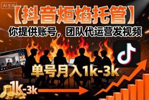 【抖音炬焰托管】你提供账号,团队代运营发视频,单号月入1k+【揭秘】-知乎者也