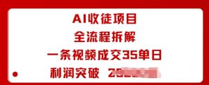 AI收徒项目全流程拆解一条视频成交35单日利润突破1k+-知乎者也
