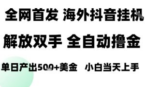 海外抖音无人直播，单日产出1.5k+，长期稳定，新手可玩，无脑操作【揭秘】-知乎者也