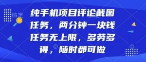 纯手机项目评论截图任务,两分钟一块钱多劳多得,随时随地都能做【揭秘】-知乎者也