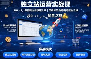 独立站运营实战课,从0到1,零基础也能快速上手,开启你的品牌出海掘金之旅-知乎者也