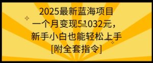 2025最新蓝海项目一个月变现1w+新手小白也能轻松上手【附全套指令】-知乎者也