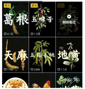 抖音中草药赛道,用AI做中草药故事视频,45条作品涨粉13W,橱窗带货猛猛出单-知乎者也