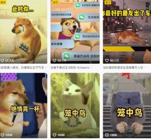 狗头幸运星UE5动画全套课程,从入门到实操全掌握-知乎者也