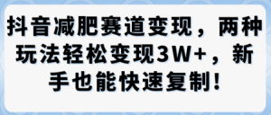 抖音减肥赛道变现，两种玩法轻松变现3W+，新手也能快速复制-知乎者也