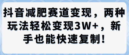 抖音减肥赛道变现,两种玩法轻松变现3W+,新手也能快速复制-知乎者也
