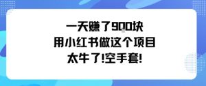一天挣了9张用小红书做这个项目太牛了，空手套-知乎者也