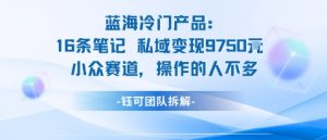 蓝海项目：16条笔记私域变现9750米小众赛道操作的人不多-知乎者也
