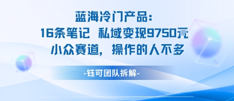蓝海项目：16条笔记私域变现9750米小众赛道操作的人不多-知乎者也