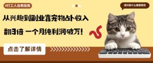 从兴趣到副业靠宠物占卜收入翻3倍一个月纯利润破W-知乎者也