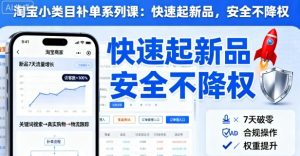 淘宝小类目补单系列课,快速起新品,安全不降权-知乎者也