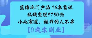 蓝海冷门产品：16条笔记私域变现9750米小众赛道，操作的人不多-知乎者也