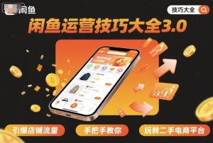 闲鱼运营技巧大全3.0,引爆店铺流量,手把手教你玩转二手电商平台-知乎者也