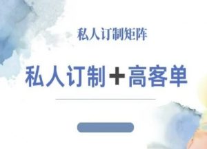 小红书自媒体咨询师IP教程,私人定制+高客单-知乎者也