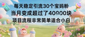 每天稳定引流30个宝妈粉当月变成超过了1W+项目流程非常简单适合小白-知乎者也