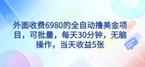 外面收费6980的全自动撸美刀项目，可批量，每天30分钟，无脑操作，当天收益5张【揭秘】-知乎者也