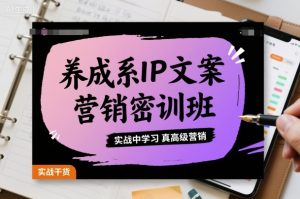 养成系IP文案营销密训班，实战中学习真高级营销-知乎者也
