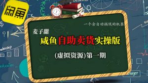 麦子甜咸鱼自助卖货实操版(虚拟资源)一个会自动搞钱的机器-知乎者也
