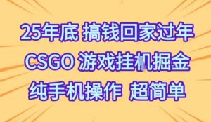 25年底搞钱回家过年,CSGO游戏挂G掘金,纯手机操作超简单【揭秘】-知乎者也