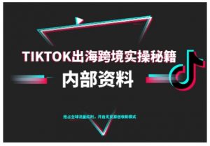 TikTok跨境电商0-1搭建运营,TK出海跨境实操秘籍(10月更新)-知乎者也