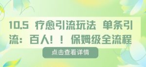 疗愈引流玩法，单条引流百人，保姆级全流程-知乎者也