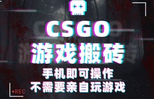 CSGO游戏挂G捡漏,单日扫货5张+,年底小高峰上车可吃肉,手机即可操作,兼职副业创业网创【揭秘】-知乎者也