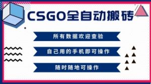 CSGO全自动搬砖，年底钱回家好项目，当天可拿到结果，新手小白轻松月入1W+【揭秘】-知乎者也