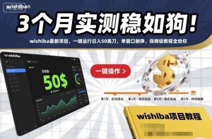 3个月实测稳如狗!wishlba最新项目,一键运行日入50美刀,单窗口躺挣,保姆级教程全给你【揭秘】-知乎者也