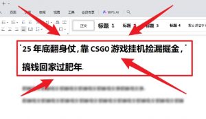 25年底翻身仗,靠CSGO游戏挂G捡漏掘金,搞钱回家过肥年【揭秘】-知乎者也