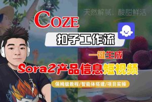 Coze扣子智能体工作流一键生成“SORA2产品信息“短视频,全流程保姆级教学-知乎者也