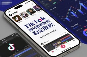 TikTok搬运解说教程,稳定收益,操作简单易懂,批量可做,持续稳定-知乎者也