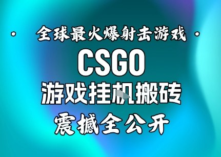 【年底大揭秘】基于全球最火爆的射击CSGO游戏挂G搬砖,日入5张+,震撼公开-知乎者也