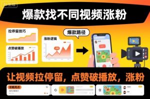 爆款找不同视频涨粉,让视频拉停留,实现点赞,破播放,涨粉-知乎者也