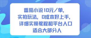 番茄小说10米每单，实拍玩法，0成本好上手，详细实操教程和平台入口适合大部分人-知乎者也