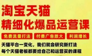 淘宝天猫精细化爆品运营课,免费流量打法-付费广告放大-利润增长-三大核心痛点,一次全部解决-知乎者也