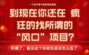 马上26年了,你还在找所谓的风口项目?别傻了,看完这个你全都懂了!【揭秘】-知乎者也
