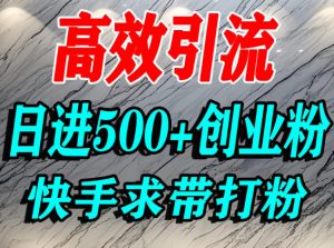 怎么打创业粉？快手求带视角精准引流创业粉，宝妈、学生群体日进500+精准流量-知乎者也
