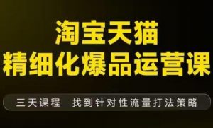 淘宝天猫精细化爆品运营(9月12-14杭州线下课),全方位拆解爆品打造逻辑【音频+字幕+文档】-知乎者也