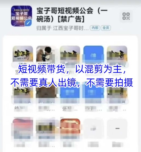 宝子哥头部团队短视频带货，以混剪为主，不需要真人出镜，不需要拍摄【更新11月】-知乎者也