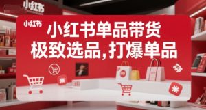 小红书单品带货,极致选品,打爆单品(更新)-知乎者也