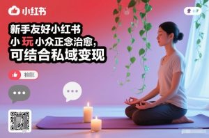 新手友好小红书小众正念治愈,玩法简单,可结合私域变现-知乎者也