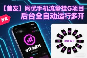 【首发】网优手机流量挂G项目，后台全自动运行，可无限批量多开【揭秘】-知乎者也