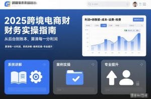 2025跨境电商财务实操指南,从后台到账本,算清每一分利润,系统讲解-案例实操-专业提升-知乎者也