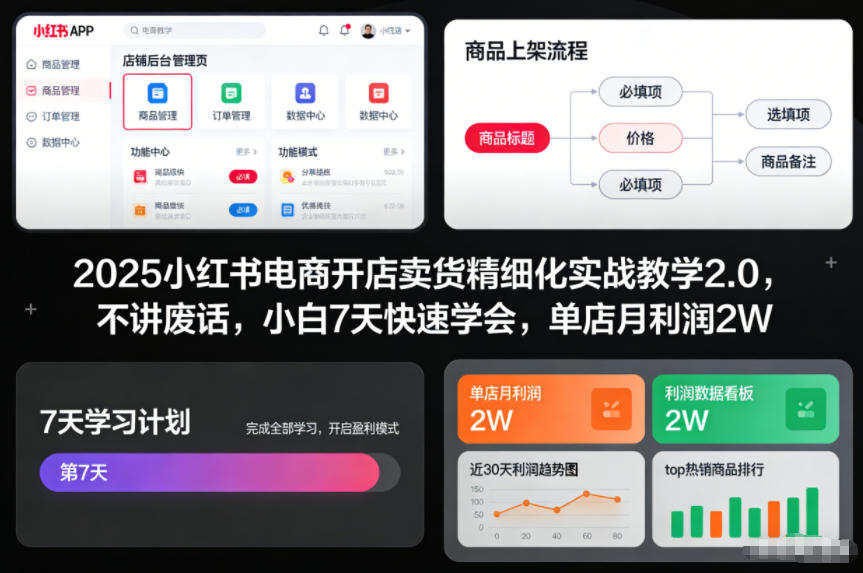 2025小红书电商开店卖货精细化实战教学2.0，不讲废话，小白7天快速学会，单店月利润2W-知乎者也