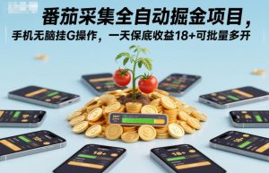 番茄采集全自动掘金项目，手机无脑挂G操作，一天保底收益18+可批量多开【揭秘】-知乎者也
