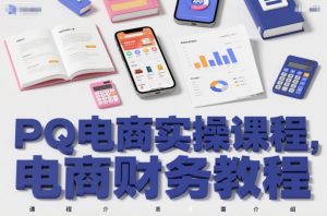 PQ电商实操课程,电商财务教程-知乎者也