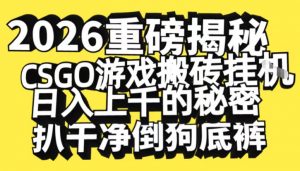 2026开年重磅解密,CSGO游戏搬砖挂G日入1k+的秘密,把倒狗的底裤扒干【揭秘】-知乎者也