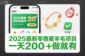 2025最新零撸薅羊毛项目,纯手机操作,20秒一单,无任何门槛,一天200+做就有【揭秘】-知乎者也