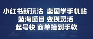 小红书新玩法，卖国学手机贴，蓝海项目，变现灵活，起号快，商单接到手软-知乎者也