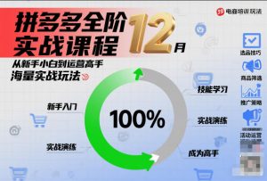 拼多多全阶实战课程12月,从新手小白到运营高手,海量实战玩法-知乎者也